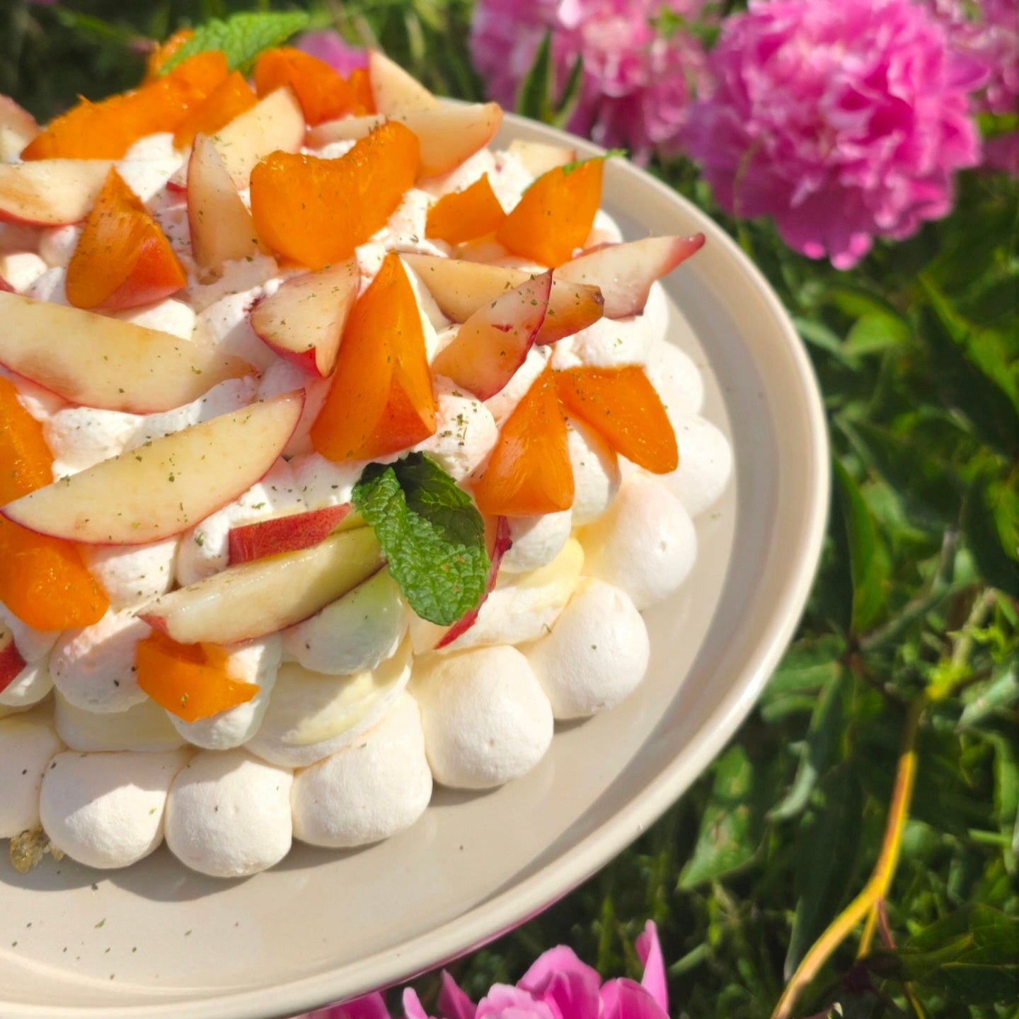 Pavlova